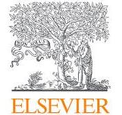 Elsevier